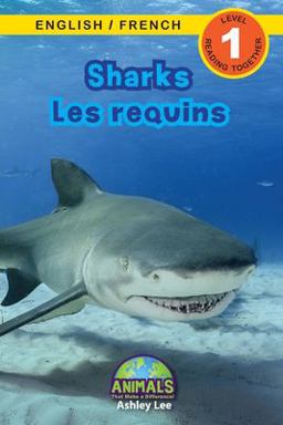 Sharks / les Requins