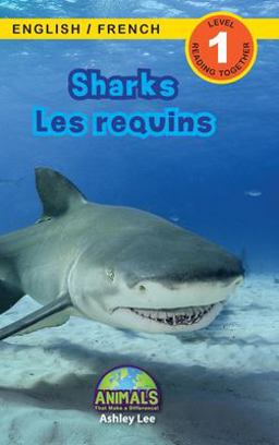 Sharks / les Requins
