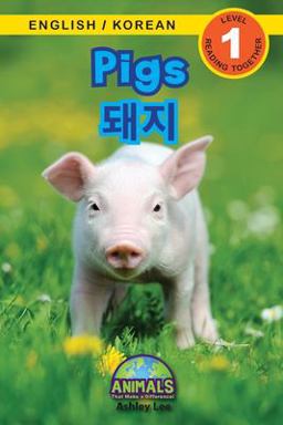 Pigs / 돼지