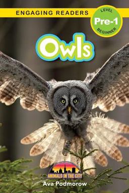 Owls Owls