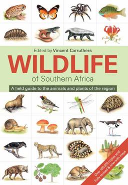 Wildlife of Southern Africa A Field Guide to the Animals and Plants of the Region  9781775843535 Front Cover