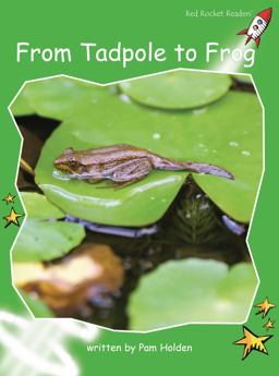 From Tadpole to Frog