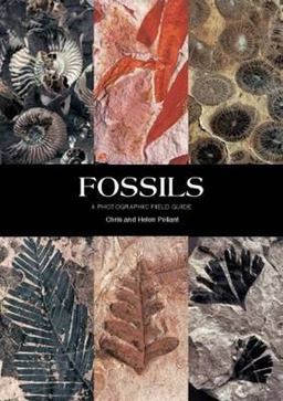 Fossils Fossils