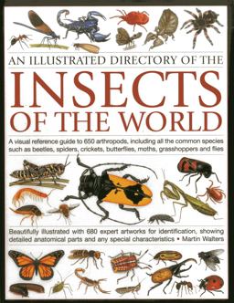 Illustrated Directory of the Insects of the World A Visual Reference Guide to 650 Arthropods, Including All the Common Insect Species Such As Beetles, Spiders, Butterflies, Moths, Grasshoppers and Flies  9781780192123 Front Cover