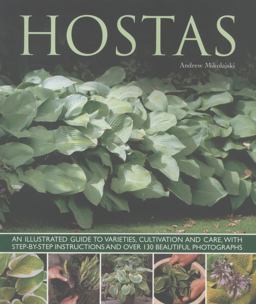 Hostas