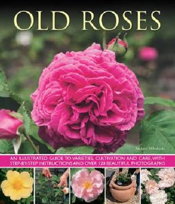 Old Roses
