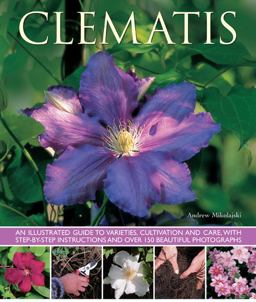 Clematis An Illustrated Guide to Varieties, Cultivation and Care, with Step-By-Step Instructions and over 150 Beautiful Photographs  9781780192512 Front Cover
