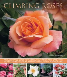 Climbing Roses An Illustrated Guide to Varieties, Cultivation and Care, with Step-by-Step Instructions and over 160 Beautiful Photographs  9781780192529 Front Cover