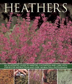 Heathers An Illustrated Guide to Varieties, Cultivation and Care, with Step-by-Step Instructions and over 160 Beautiful Photographs  9781780192642 Front Cover