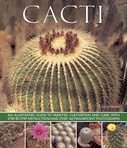 Cacti Cacti