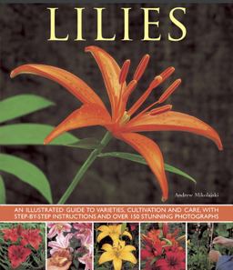 Lilies An Illustrated Guide to Varieties, Cultivation and Care, with Step-By-Step Instructions and over 150 Stunning Photographs  9781780192857 Front Cover