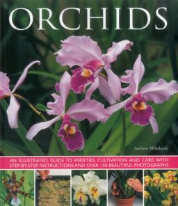 Orchids