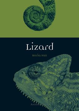 Lizard  9781780238289 Front Cover