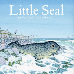 Little Seal  9781780274607 Front Cover