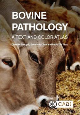 Bovine Pathology A Text and Color Atlas  9781780646718 Front Cover