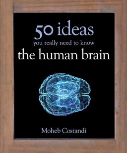 50 Human Brain Ideas You Really Need to Know 2013 9781780879109 Front Cover