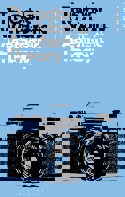 Aesthetic Theory 2013 9781780936598 Front Cover