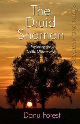 Shaman Pathways - the Druid Shaman Exploring the Celtic Otherworld  9781780996158 Front Cover
