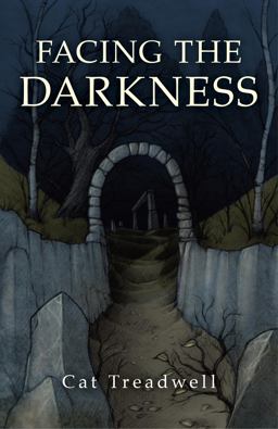 Facing the Darkness  9781780999005 Front Cover