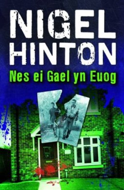 Nes Ei Gael Yn Euog