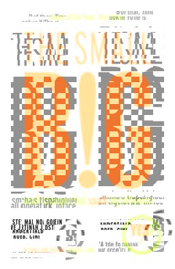 Small BIG Small Changes That Spark Big Influence  9781781252758 Front Cover