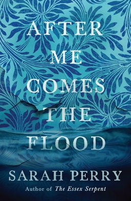 After Me Comes the Flood  9781781259559 Front Cover
