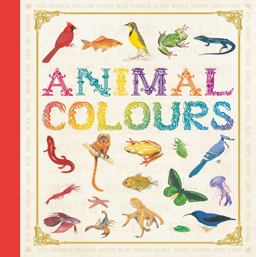 Animal Colours