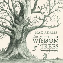 The Wisdom of Trees:  9781781855461 Front Cover