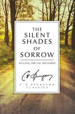 Silent Shades of Sorrow Healing for the Wounded  9781781915851 Front Cover