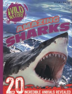 Amazing Sharks