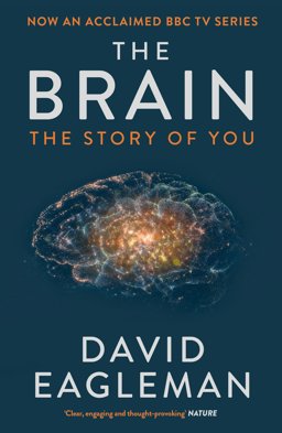 Brain The Story of You  9781782116615 Front Cover