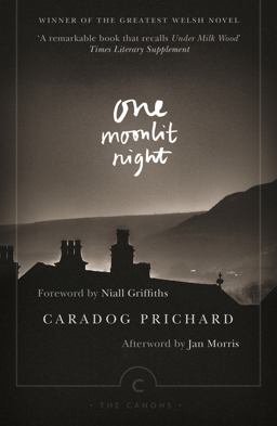 One Moonlit Night  9781782116769 Front Cover