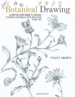 Botanical Drawing A Step-By-Step Guide to Drawing Flowers, Vegetables, Fruit and Other Plant Life  9781782212607 Front Cover