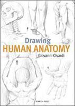 Drawing Human Anatomy  9781782216056 Front Cover