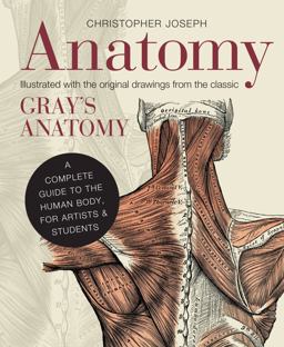 Anatomy A Complete Guide to the Human Body, for Artists and Students  9781782401278 Front Cover