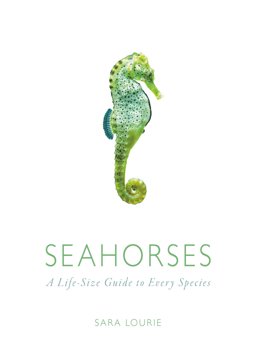 Seahorses A Life-Size Guide to Every Species  9781782403210 Front Cover