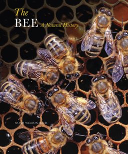 Bee A Natural History  9781782405962 Front Cover