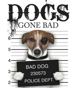 Dogs Gone Bad:  9781782743217 Front Cover