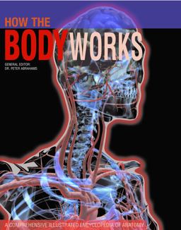 How the Body Works A Comprehensive Illustrated Encyclopedia of Anatomy  9781782744351 Front Cover