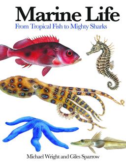Marine Life From Tropical Fish to Mighty Sharks  9781782744450 Front Cover