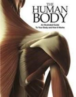 The Human Body