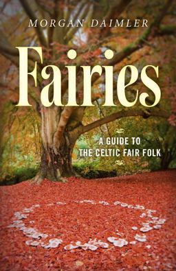 Fairies A Guide to the Celtic Fair Folk  9781782796503 Front Cover