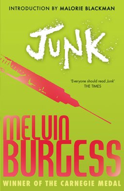 Junk  9781783440627 Front Cover