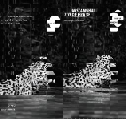 7 Years of Camera Shake