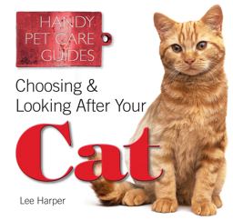 Choosing and Looking after Your Cat