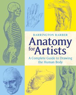 Anatomy for Artists Anatomy for Artists
