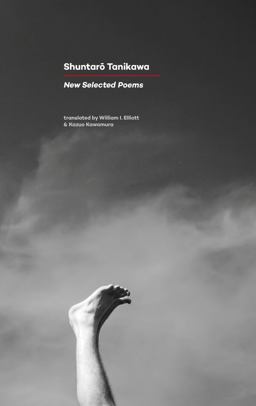 New Selected Poems:  9781784100681 Front Cover