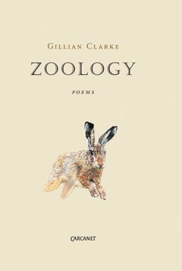 Zoology  9781784102166 Front Cover