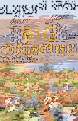 Notes from a Big Country Journey into the American Dream  9781784161842 Front Cover