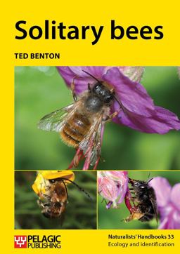 Solitary Bees:  9781784270889 Front Cover